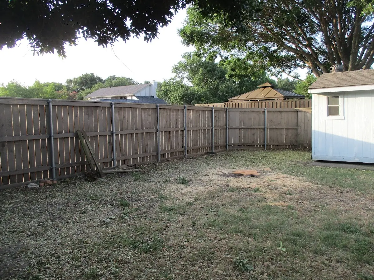 Cleared yard after professional tree removal in New Galilee